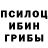 Псилоцибиновые грибы мицелий NATALIA KANAKI