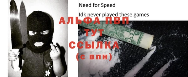 спиды Надым