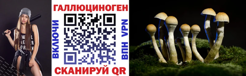 Псилоцибиновые грибы GOLDEN TEACHER  Купить где  Демидов 